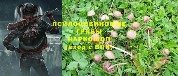 дурь Баксан