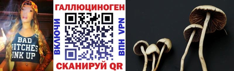 наркотики  Саянск  Галлюциногенные грибы Psilocybine cubensis 