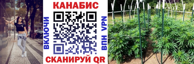 МАРИХУАНА Bruce Banner цены наркотик площадка как зайти Саянск